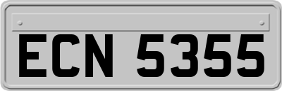 ECN5355