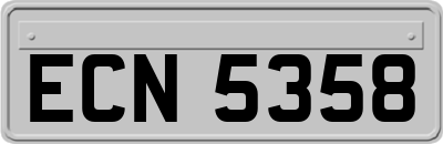 ECN5358