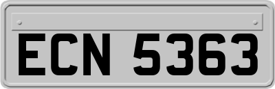 ECN5363