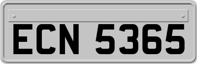 ECN5365