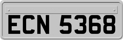 ECN5368