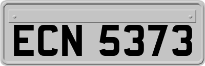 ECN5373