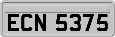ECN5375
