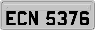 ECN5376
