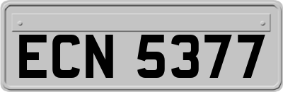 ECN5377