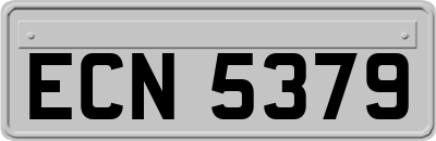ECN5379