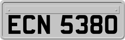 ECN5380