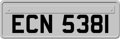 ECN5381
