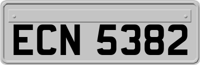 ECN5382
