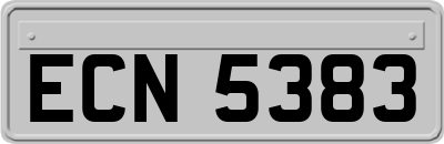ECN5383
