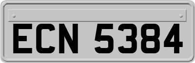 ECN5384