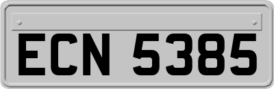 ECN5385