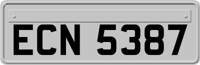 ECN5387
