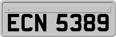 ECN5389