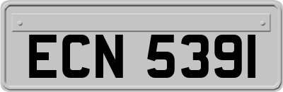 ECN5391