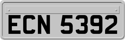 ECN5392