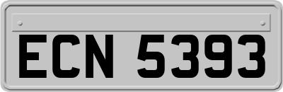 ECN5393