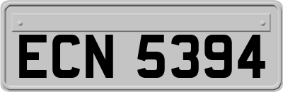 ECN5394