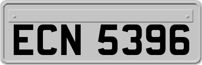 ECN5396
