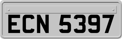 ECN5397