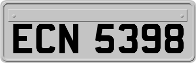 ECN5398