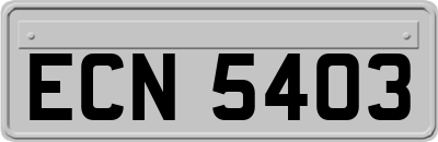 ECN5403