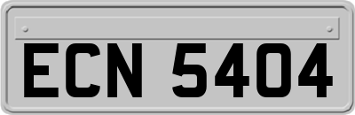 ECN5404