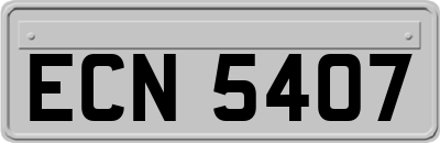 ECN5407