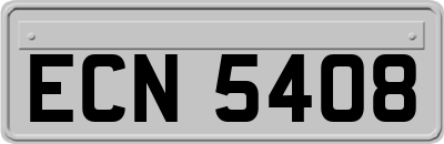 ECN5408