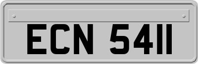 ECN5411