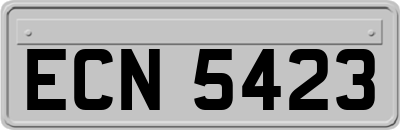 ECN5423