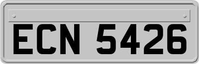 ECN5426