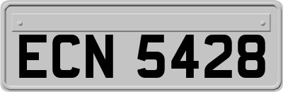 ECN5428
