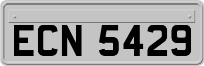 ECN5429
