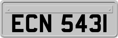 ECN5431