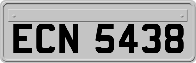 ECN5438