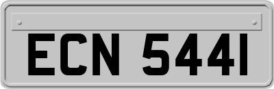 ECN5441