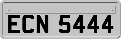 ECN5444