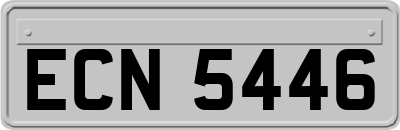 ECN5446