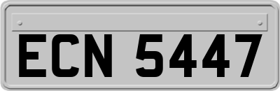 ECN5447