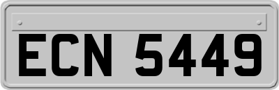 ECN5449