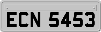 ECN5453
