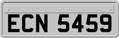 ECN5459