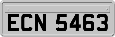 ECN5463