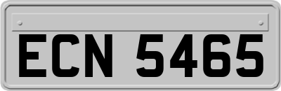 ECN5465