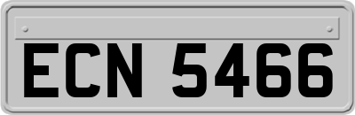 ECN5466