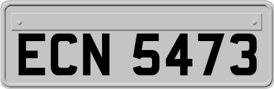 ECN5473