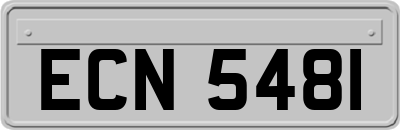 ECN5481