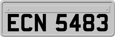 ECN5483