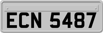 ECN5487